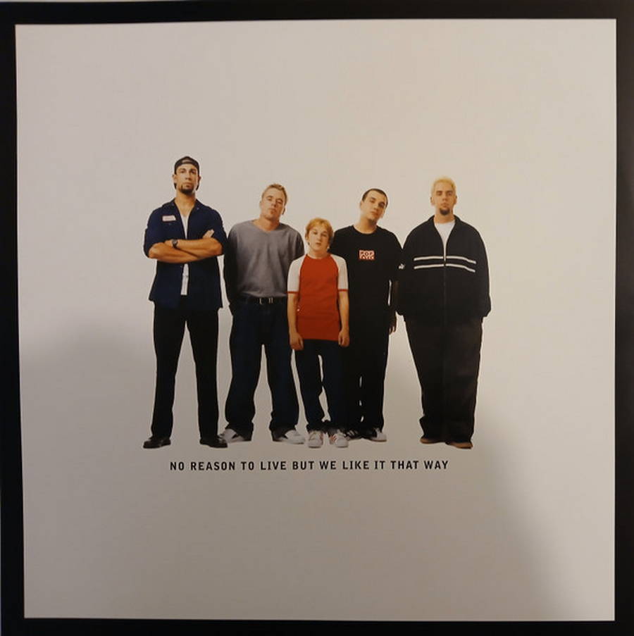 Bloodhound Gang – Hooray For Boobies (2LP color)